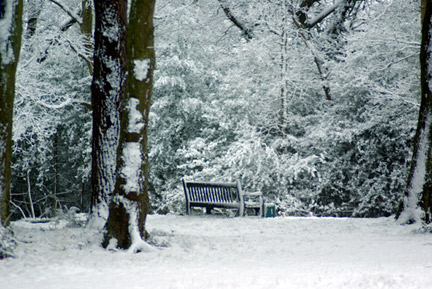 Bench in Snow