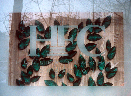 Leaves behind Glass 