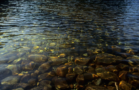 Stones in a Lake